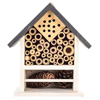 Image of Wooden Bee, Ladybirds and Insects Bug House Nesting box