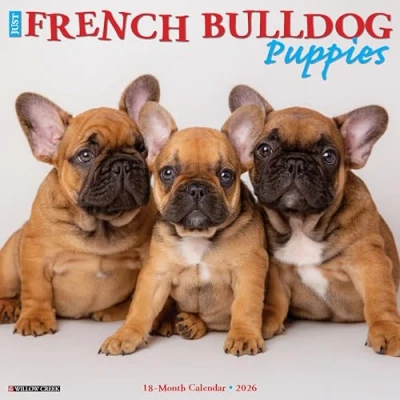 Image of Just French Bulldog Puppies Calendar 2026