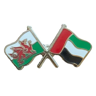 Image of emblems gifts Wales &amp; UAE Flags Friendship Courtesy Enamel Lapel Pin Badge T725
