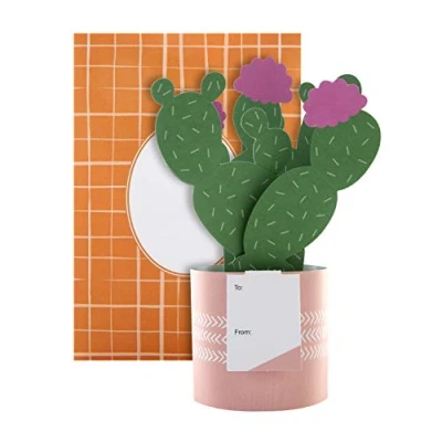 Image of Hallmark Pop Up Card Contemporary Cactus Design
