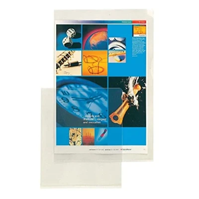 Image of Esselte E : Folder Standard A4 PP 105 µ 100 pcs Clear
