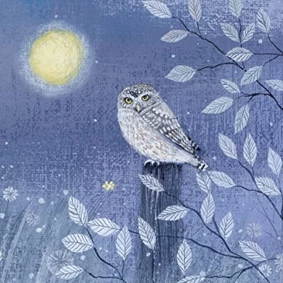 Image of Museums &amp; Galleries Lucy Grossmith Little Owl Art Greeting Card with White Envelope