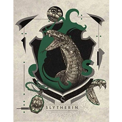 Image of Harry Potter Limited Edition Slytherin 14x11&quot; Art Print