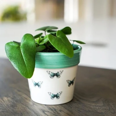 Image of Ivyline Planter, Ceramic, Butterfly, 13 x 13cm