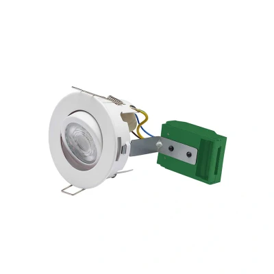 Image of Open Back Centre Tilt GU10 Downlight White Bell Lighting Firestay Protector