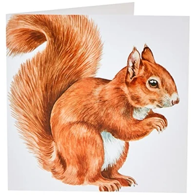 Image of Maturi Blank Greeting Card with Water Colour Red Squirrel Image