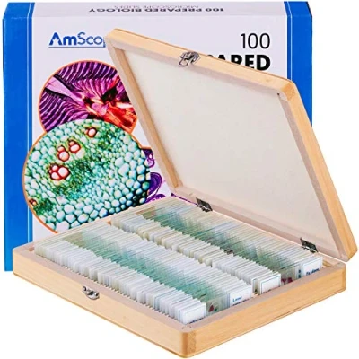 Image of AmScope PS100E 100 Homeschool Biology Prepared Microscope Slides Set E