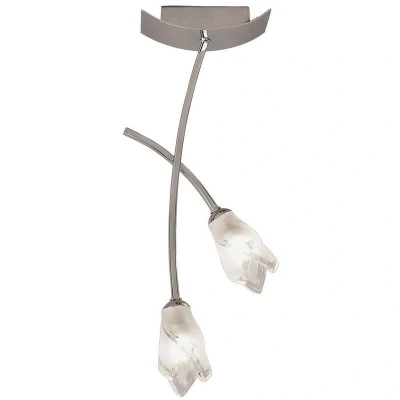Image of Pietra Ceiling 2 Light G9, Polished Chrome