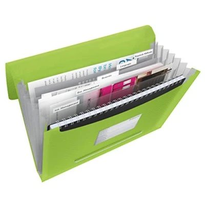 Image of Esselte A4 Expanding Project File, Integrated Index with 6 Compartments, Elastic Closure, Flexible Plastic, Green, VIVIDA Range, 624019
