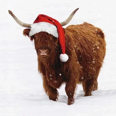 Image of Charity Christmas Cards Highland Santa Cow in the Snow Eco Friendly and Recyclable Pack of 6 By Paper House