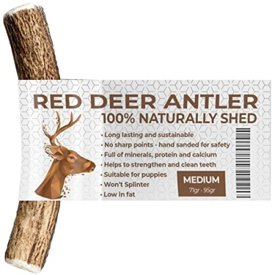 Image of Antlers for Dogs MEDIUM, Sustainable, Naturally Shed, Deer Dogs, Dog Toys, Treats, Antler, Reindeer Natural Chews, Chew Toys