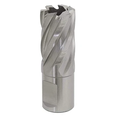 Image of Worksafe Rotabor Cutter HSS Ø20mm Cut Depth 25mm