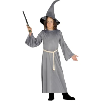 Image of FIESTAS GUIRCA Child Gray Wizard Costume