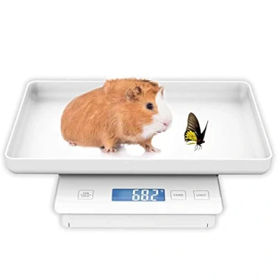Image of MINDPET MED 11lbs/0.1g Pet Scale for Small Animal, Whelping Scale, Guinea Pig Weighing High Precision 0.003oz, Suitable All Newborn Pets, Kittens, Turtles,
