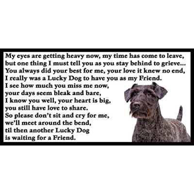 Image of Patterdale Terrier Dog bereavement pet loss Memorial Flexible Fridge Magnet Lucky