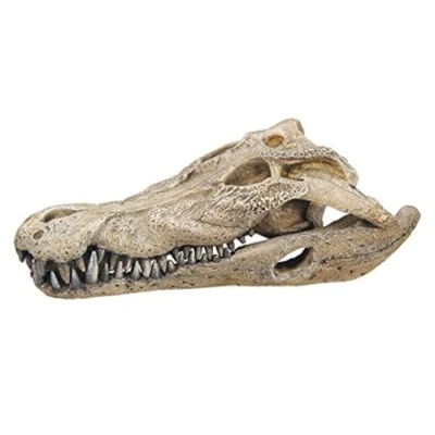 Image of Nobby Crocodile Skull Aquarium Ornaments, 26 x 14 9 cm