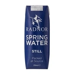 Image of Radnor Still Spring Water Tetra Pak 250ml (24 Pack)
