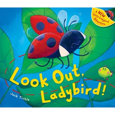 Image of Look Out, Ladybird!