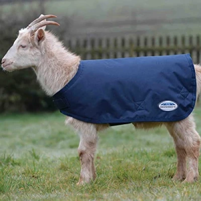 Image of WeatherBeeta Goat Coat, Navy, XXL
