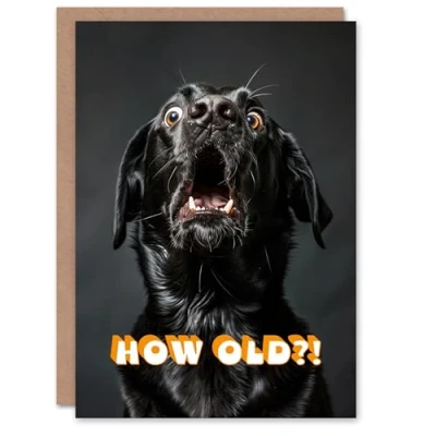 Image of Artery8 Birthday Card Shocked Black Labrador Dog Photo How Old Funny Joke For Him Her Man Woman Girl Boy Wife Husband Greeting Personalised
