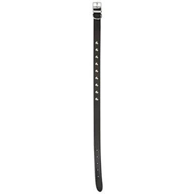 Image of Ancol Comfortable Stylish Leather Black Stud Collar Pet Training Accessory 50 59 cm, Size 7