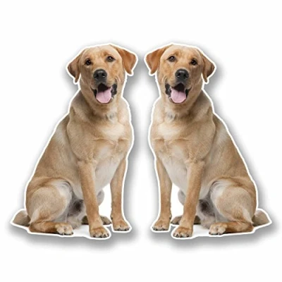 Image of 2 x 15cm Labrador Vinyl Stickers Decals Laptop Car Bike Dog Fridge #9774 (10cm Wide Tall)