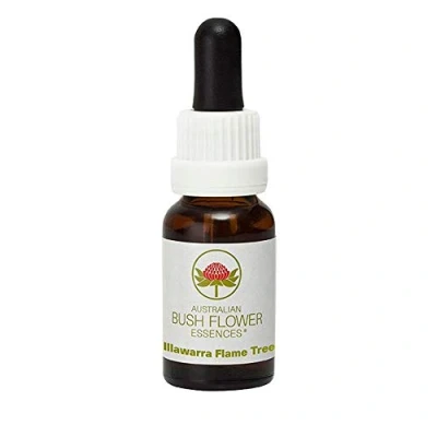 Image of Illawarra Flame Tree 15 ml Stockbottle Australian Bush Flower Essences