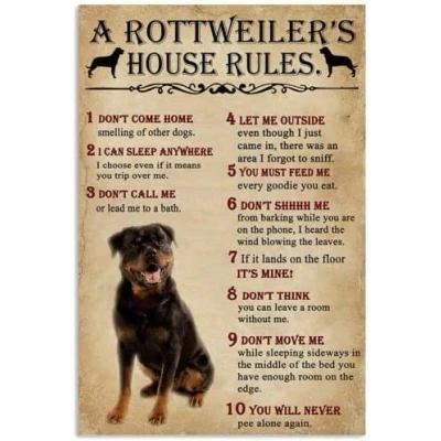 Image of Funny Metal Signs A rottweiler&#039;s house rule Retro Tin Vintage For Sign Home Wall Art, 12x8 Inches Bathroom Decor