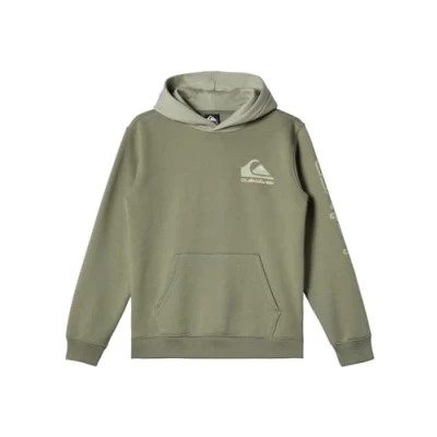 Image of Quiksilver Fleece sweater OMNI LOGO HOODIE Youth Green 10