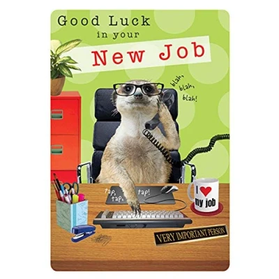 Image of Piccadilly Greetings Group Ltd FANTASTIC COLOURFUL MEERKAT AT WORK GOOD LUCK IN YOUR NEW JOB GREETING CARD,greenbrownblackredyellow,7 x 5