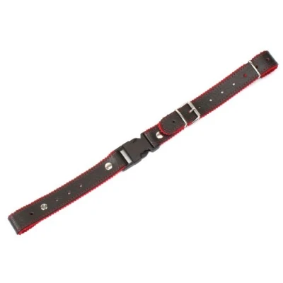Image of Alpenklang Straps for Accordion/Harmonica Brown/Red