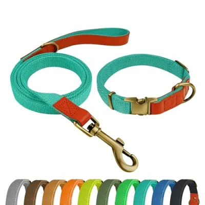 Image of Qianruida Dog Collar and Lead Set, Lead, Adjustable Collar, for Small, Medium, Large Dogs, Cyan, M