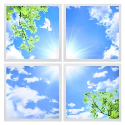 Image of Long Life Lamp Company Blue Sky LED Ceiling Panel 600 x Sun Birds Cloud Scene Recessed Office Light with Transformers 4 Set SKY03F