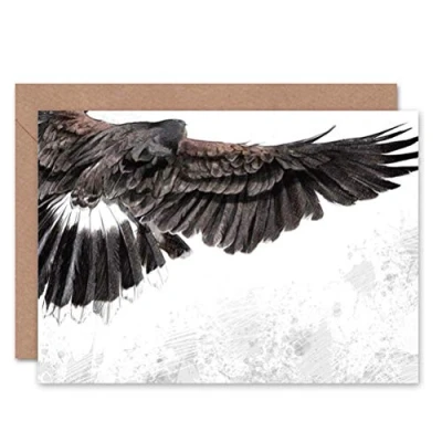 Image of Wee Blue Coo FLYING EAGLE SKETCH BLANK GREETINGS BIRTHDAY CARD ART