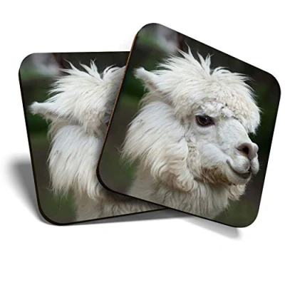 Image of Great Coasters (Set of 2) Square/Glossy Quality Coasters/Tabletop Protection for Any Table Type White Llama Alpaca Funny Animal #14817