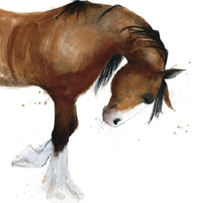 Image of The Great British Card Company Shire Horse Animal Magic Square Art Greeting Blank Inside Any Occasion AGAM0102