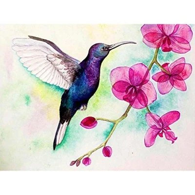 Image of Wee Blue Coo Hummingbird And Orchid Art Print Poster Wall Decor 12X16 Inch