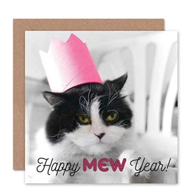 Image of Wee Blue Coo CARD GREETING NEW YEAR HOGMANAY GRUMPY CAT MEW GIFT