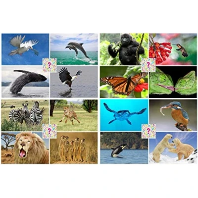 Image of Surprise Pack of 20 Flip Cards/Interchangeable Postcards: Lenticular Postcards with Animal and Nature Motifs Ideal for Collectors, School or Postcrossing