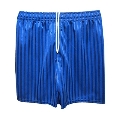 Image of CL BOYS GIRLS MENS KIDS UNISEX SHADOW STRIPE PE SCHOOL SHORTS FOOTBALL GYM GAMES (Royal Blue, 11 12 Years (XXL))