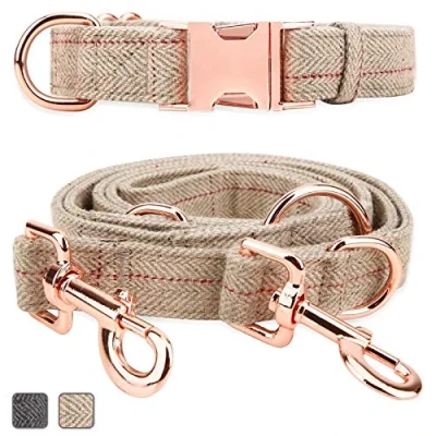 Image of Rose Gold Dog Collar and Lead(2m) Set Exceptionally Elegant &amp; Adjustable 3 Lengths Leash Soft Easy to Clean(Beige;S(11&quot; 15.7&quot;))