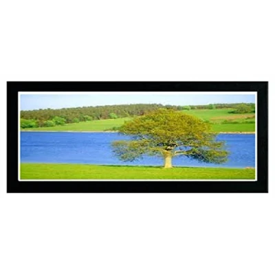 Image of Modern Picture Photo Frame Acrylic Glass Wood Poster Black 100cm x 50cm Wall Mounted Frames