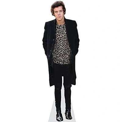 Image of Harry E. Styles (2013) Life Size Cutout
