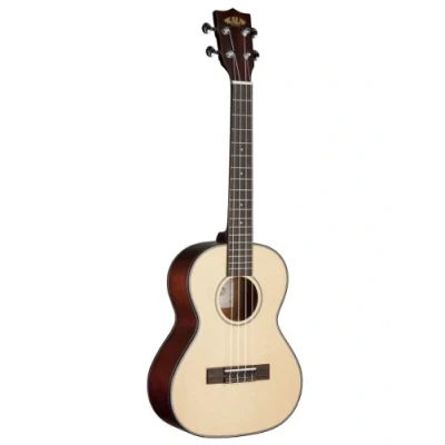 Image of Kala KASTG Ukulele with mechanical detail, brilliant finish