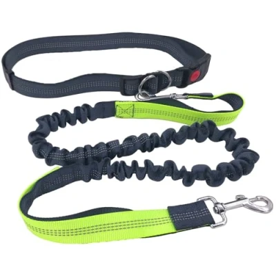 Image of QitinDasen Grey Hands Free Dog Leash, Adjustable Waist Belt and Dual Handle Retractable Bungee Jogging Leash with Reflective Stitching (Green Handle)