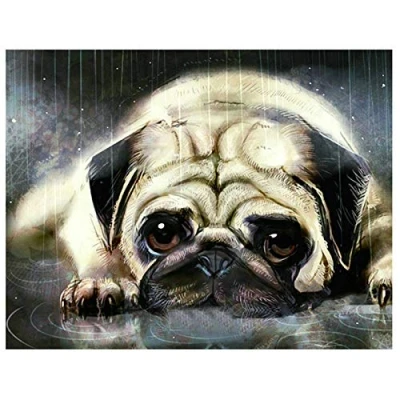 Image of DIY 5D Diamond Painting by Number Kits for Adults Pug Dog Full Crystal Rhinestone Embroidery Cross Stitch Arts Crafts Home Wall Decor Gift 30x40cm/12x16inch