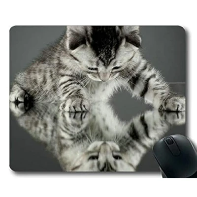 Image of mouse mat,Kitten reflection animal cute cat pad,Mouse mat for Computer cat124