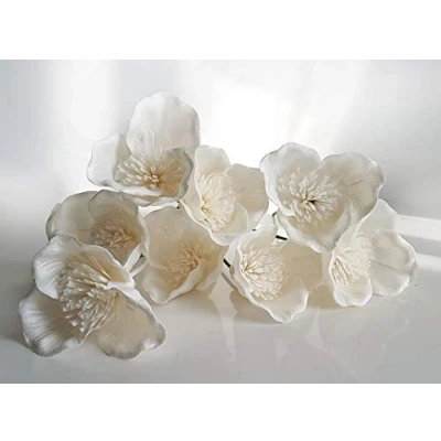 Image of Plawanature Scent 10 Trillium Wild Flower White Sola with Reed Diffuser for Home Fragrance.