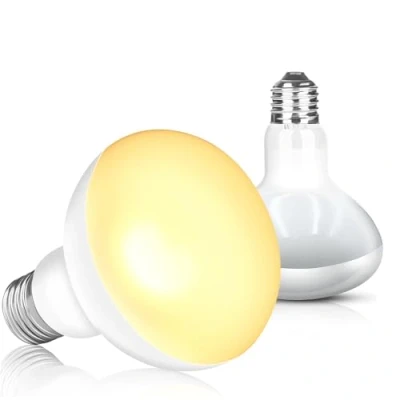 Image of Looikes 2 Pack 100W Reptile Heat Bulb,E27 UV Light Bulb Daylight Basking for Reptiles, Amphibian Lizard,Tortoise,Bearded Dragon,Chicks,Dog,Cats