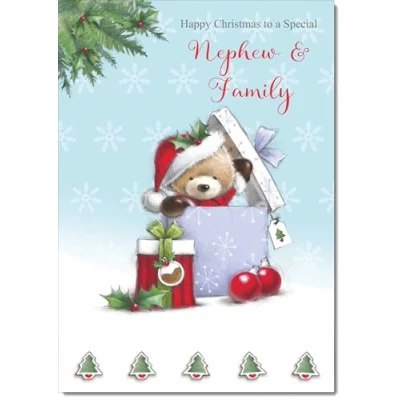 Image of doodlecards Nephew and Family Christmas Card Cute Bear Parcel Medium Size for &amp; with Plain Envelope
